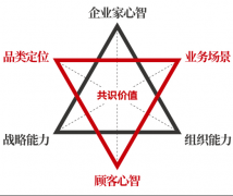 深维度计谋征询：从29亿到100亿企业做对了什么？